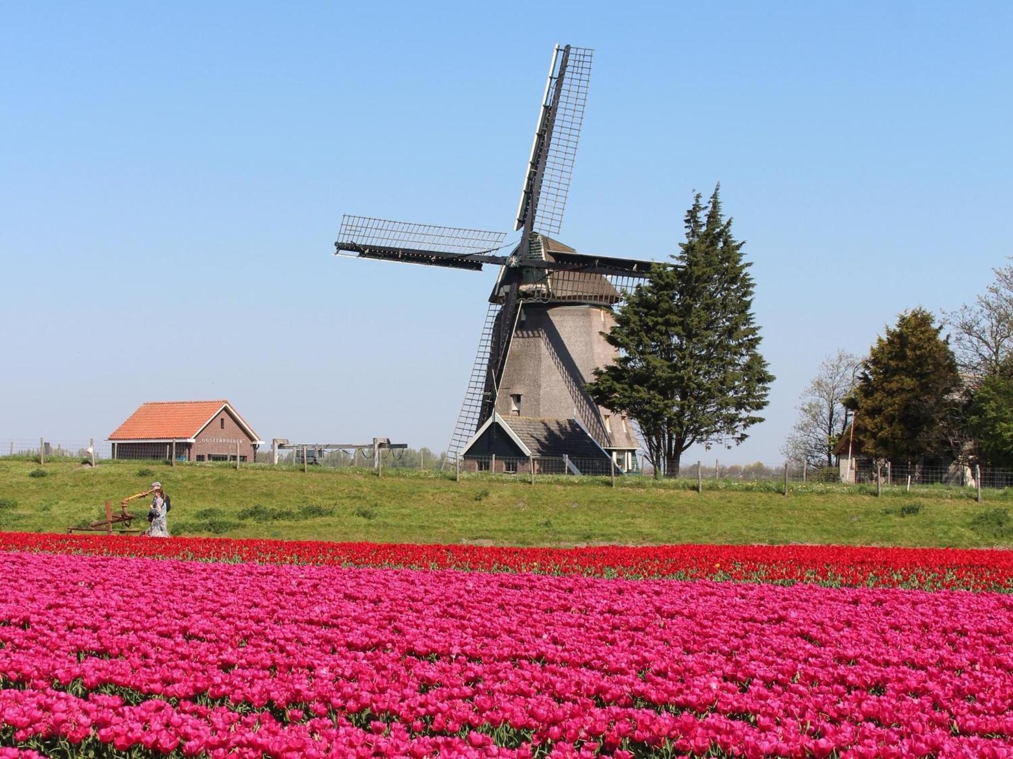 Duinland 126 Sint Maartenszee Sint Maartensvlotbrug Buitenkant foto