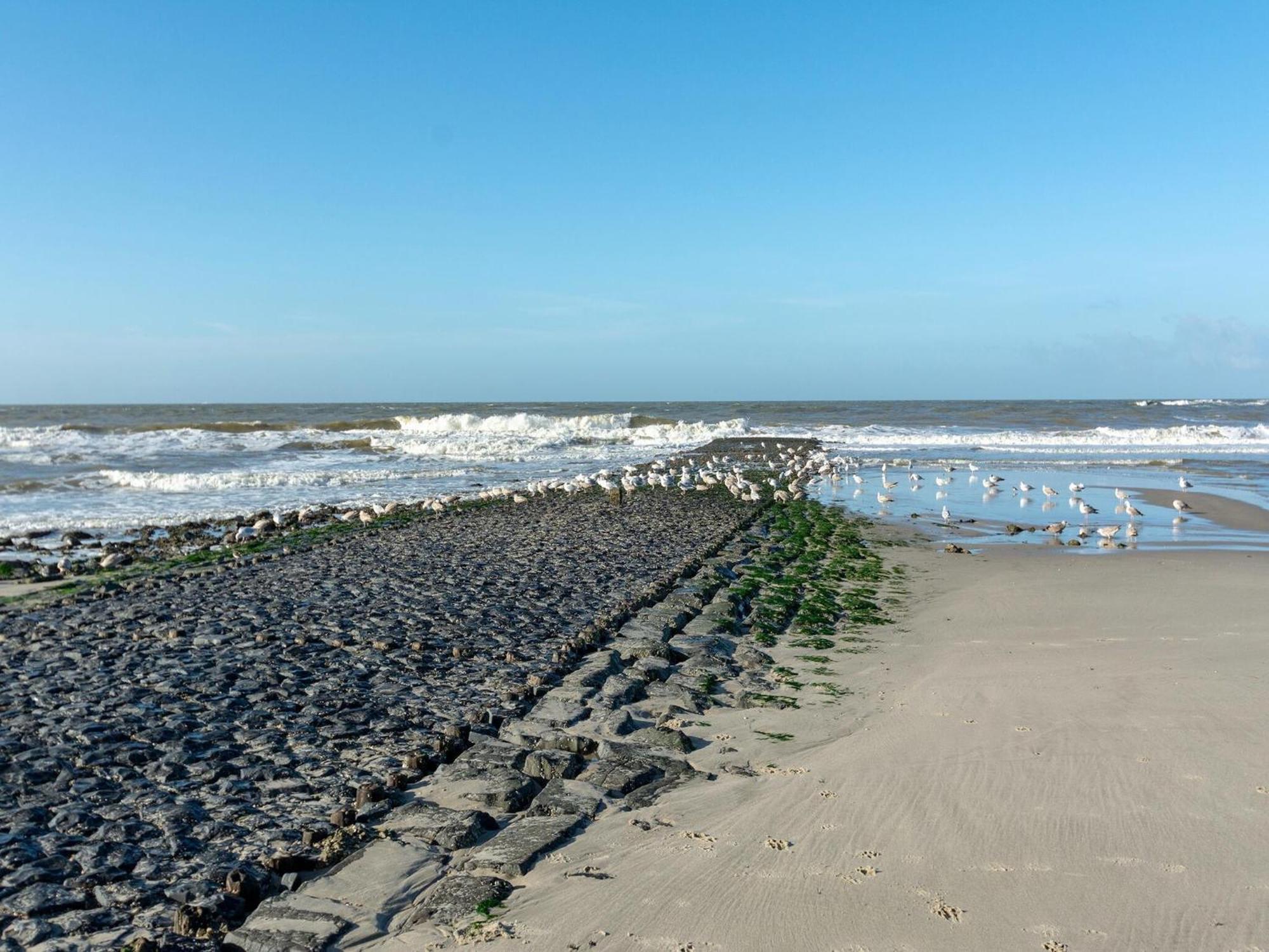 Duinland 126 Sint Maartenszee Sint Maartensvlotbrug Buitenkant foto