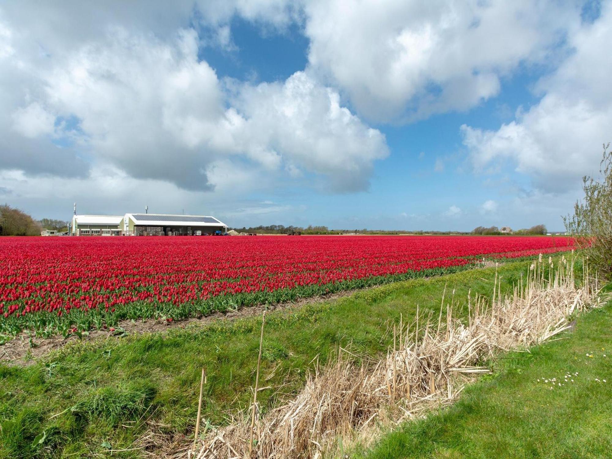 Duinland 126 Sint Maartenszee Sint Maartensvlotbrug Buitenkant foto